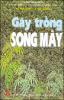 Gay_trong_song_may.pdf.jpg